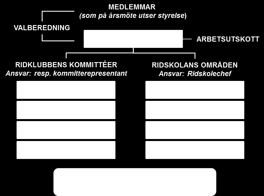 NTRKs vision och verksamhetsidé NTRK ska vara en framgångsrik förebild för alla inom ridsporten.