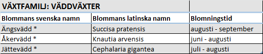 Tabell 14. Några växtexempel ur familjen Korgblommiga växter (Mossberg, Stenberg 2003, Sidblad 2014, Rahbek Pedersen 2015, Blomsterfrämjandet 2010).