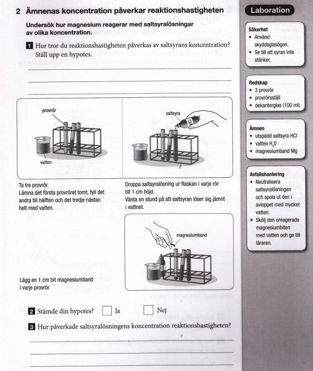 Forskningsfrågan? Utrustning, material? Vad kan vi öppna? Tillvägagångssättet?