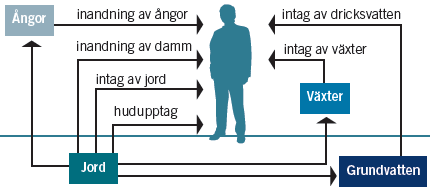 BILAGA 2 Platsspecifika riktvärden 1 Modell för framtagande av platsspecifika riktvärden Naturvårdsverket har tagit fram en modell för beräkning av platsspecifika riktvärden (NV rapport 5977, 2009),