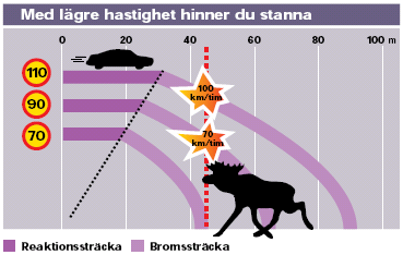 Hastigheter 1 Energinivå/hastigheter är ett av de kraftfullaste sätten att förändra