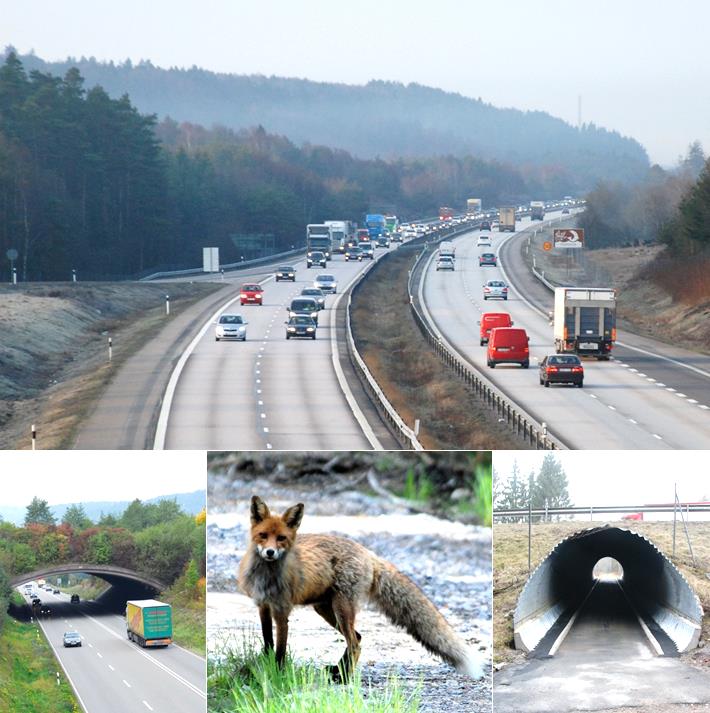 VÄGPLAN Väg E6, faunapassager vid Sandsjöbackaområdet Mölndals stad och Kungsbacka kommun