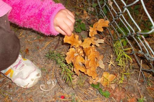 Den fysiska miljön ska vara utformad efter barnens intressen vilket vi får reda på genom observationer av leken och i reflektioner med barnen Ansvarsfördelning: Alla pedagoger, förskolläraren har