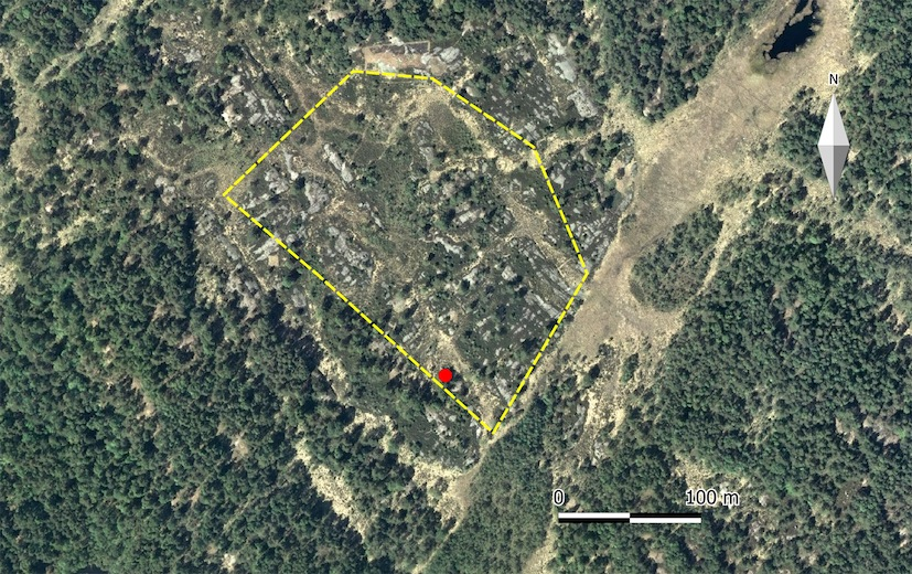 Inventering av dagaktiva fjärilar i Göteborgs kommun R 2012:4 Orremossen (område 23) Orremossen är ett öppet område i ett större skogsområde i Vättlefjäll i norra delen av kommunen (figur 25).