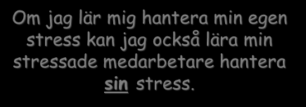 Hur undviker man att bli utbränd trots hög stress? 1. Tillvaron upplevs hanterbar, läget under kontroll (bl a tack vare realistisk tidsuppfattning). 2.