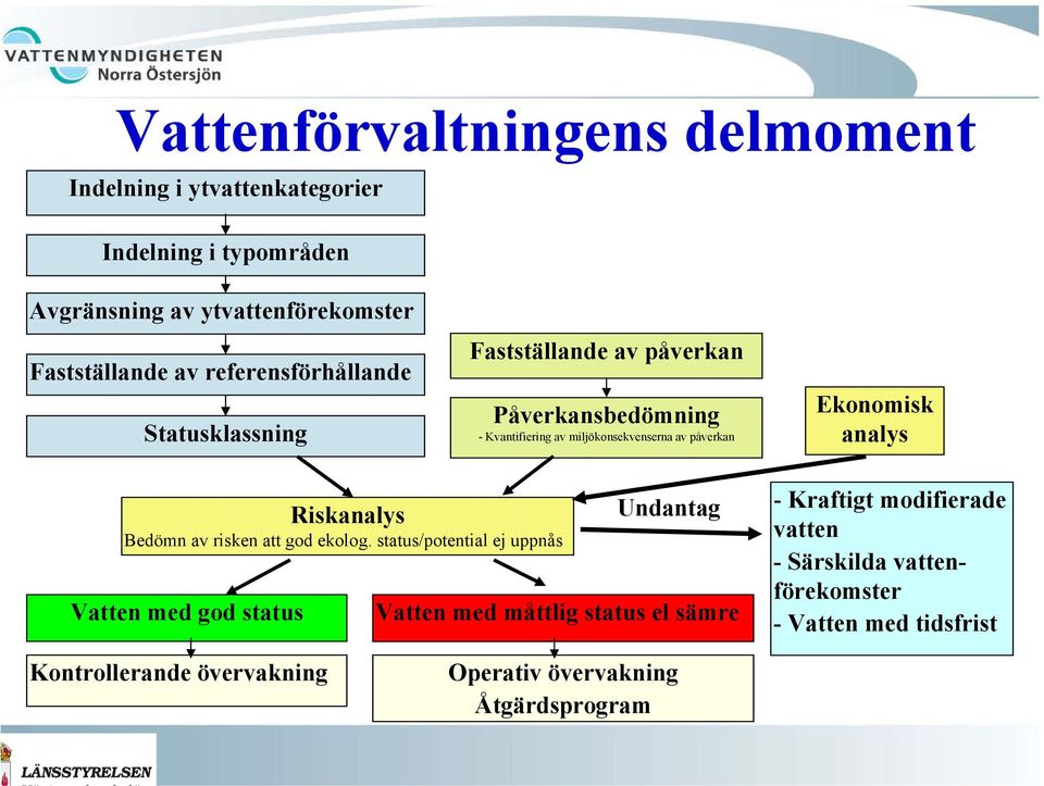 analys Riskanalys Bedömn av risken att god ekolog.