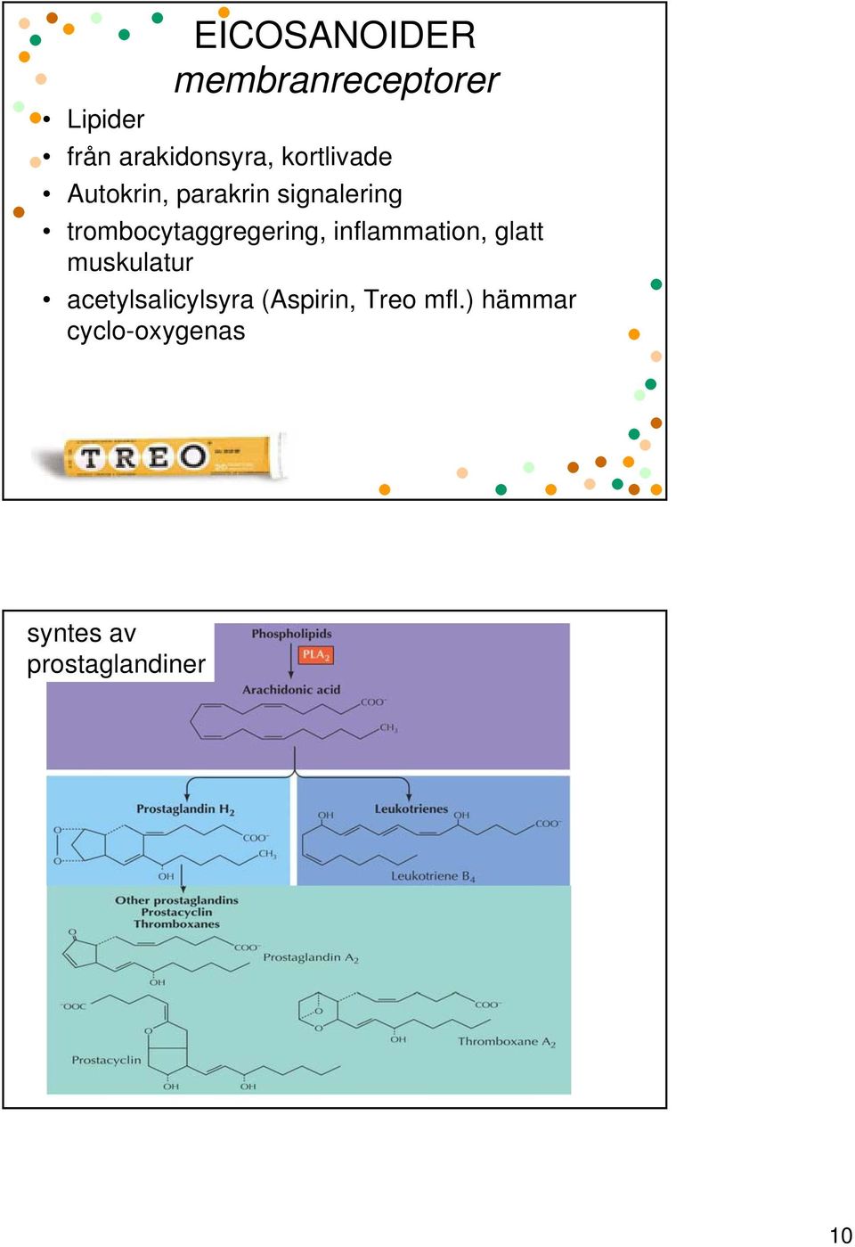 trombocytaggregering, inflammation, glatt muskulatur