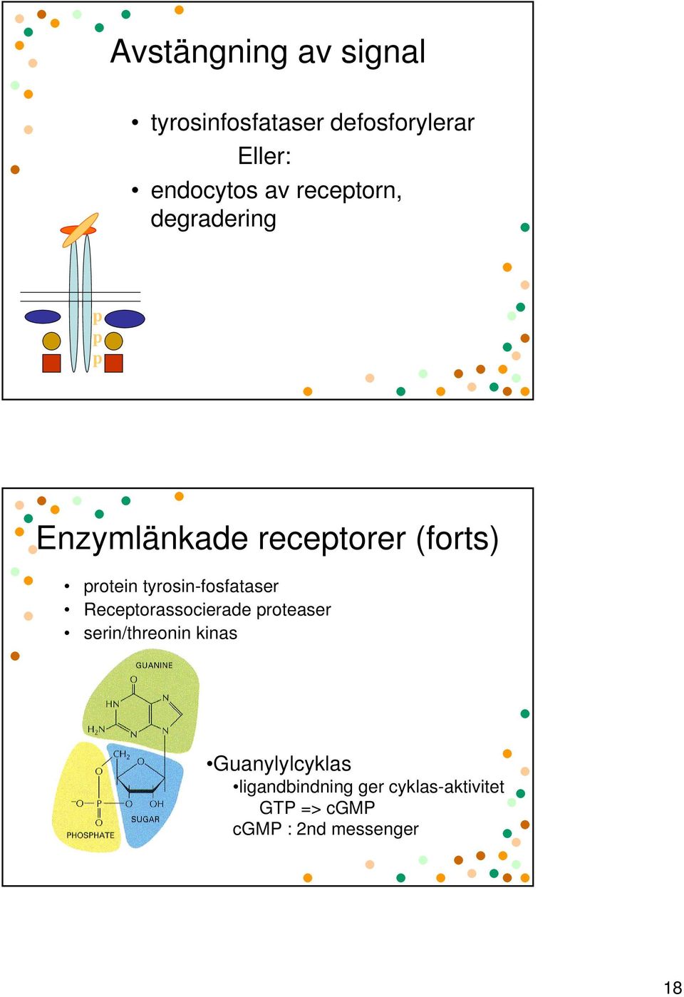 tyrosin-fosfataser Receptorassocierade proteaser serin/threonin kinas