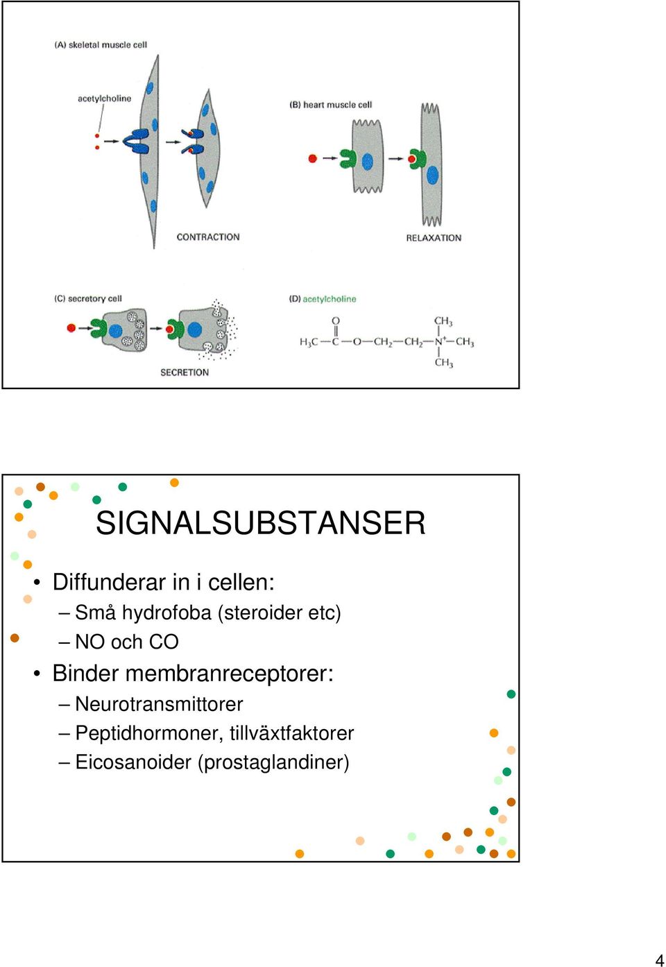 membranreceptorer: Neurotransmittorer