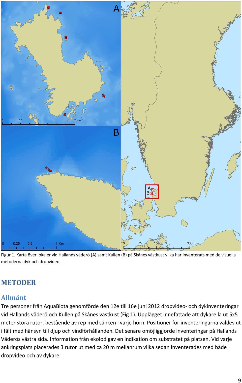 Upplägget innefattade att dykare la ut 5x5 meter stora rutor, bestående av rep med sänken i varje hörn. Positioner för inventeringarna valdes ut i fält med hänsyn till djup och vindförhållanden.