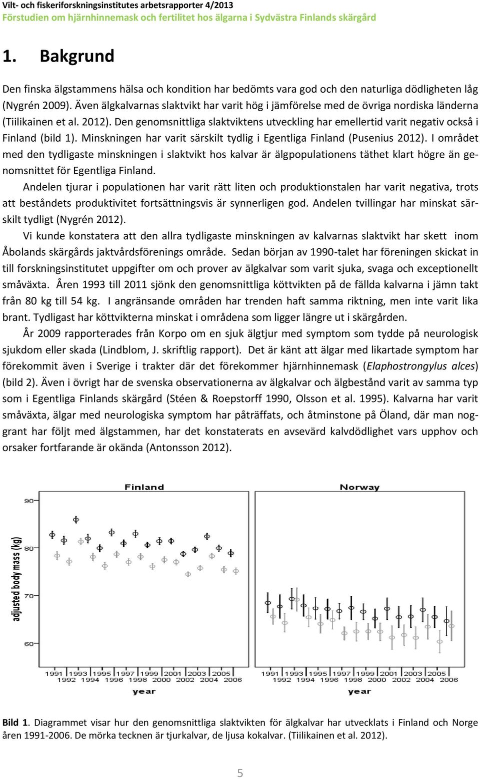 Även älgkalvarnas slaktvikt har varit hög i jämförelse med de övriga nordiska länderna (Tiilikainen et al. 2012).