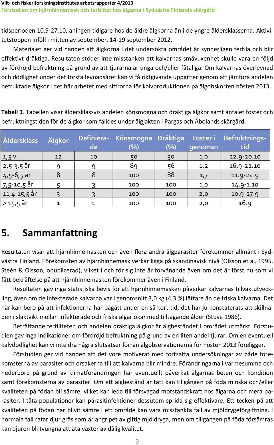 Resultaten stöder inte misstanken att kalvarnas småvuxenhet skulle vara en följd av fördröjd befruktning på grund av att tjurarna är unga och/eller fåtaliga.