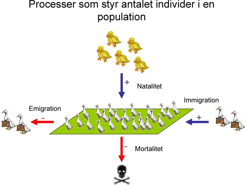 population + Natalitet