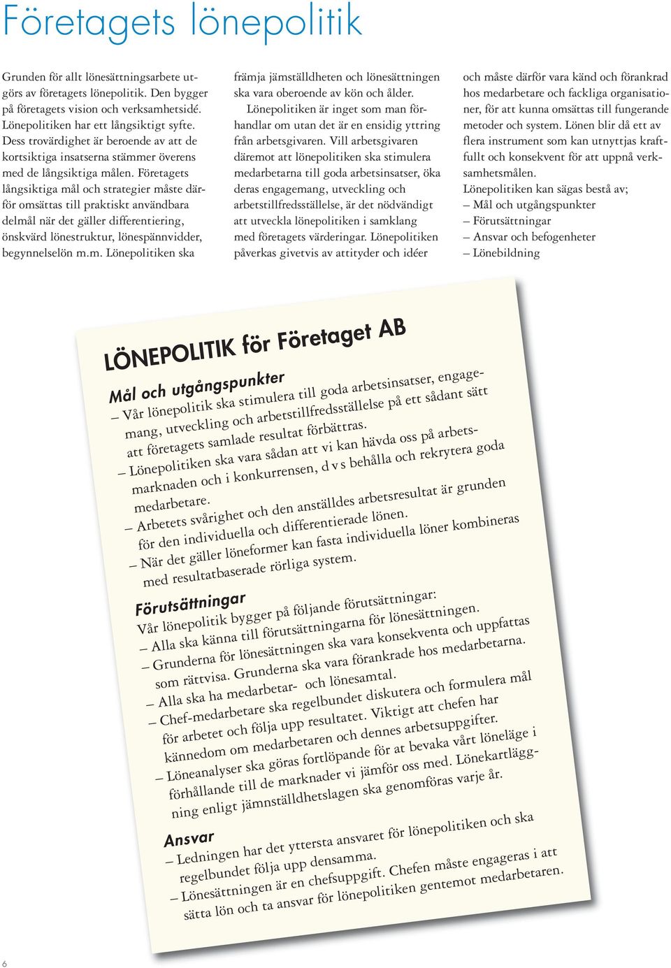 Företagets långsiktiga mål och strategier måste därför omsättas till praktiskt användbara delmål när det gäller differentiering, önskvärd lönestruktur, lönespännvidder, begynnelselön m.m. Lönepolitiken ska främja jämställdheten och lönesättningen ska vara oberoende av kön och ålder.