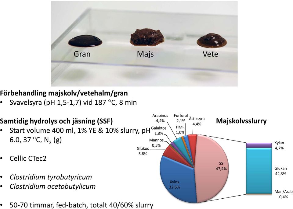 0, 37 C, N 2 (g) Cellic CTec2 Clostridium tyrobutyricum Clostridium acetobutylicum Glukos 5,8% 50 70 timmar, fed