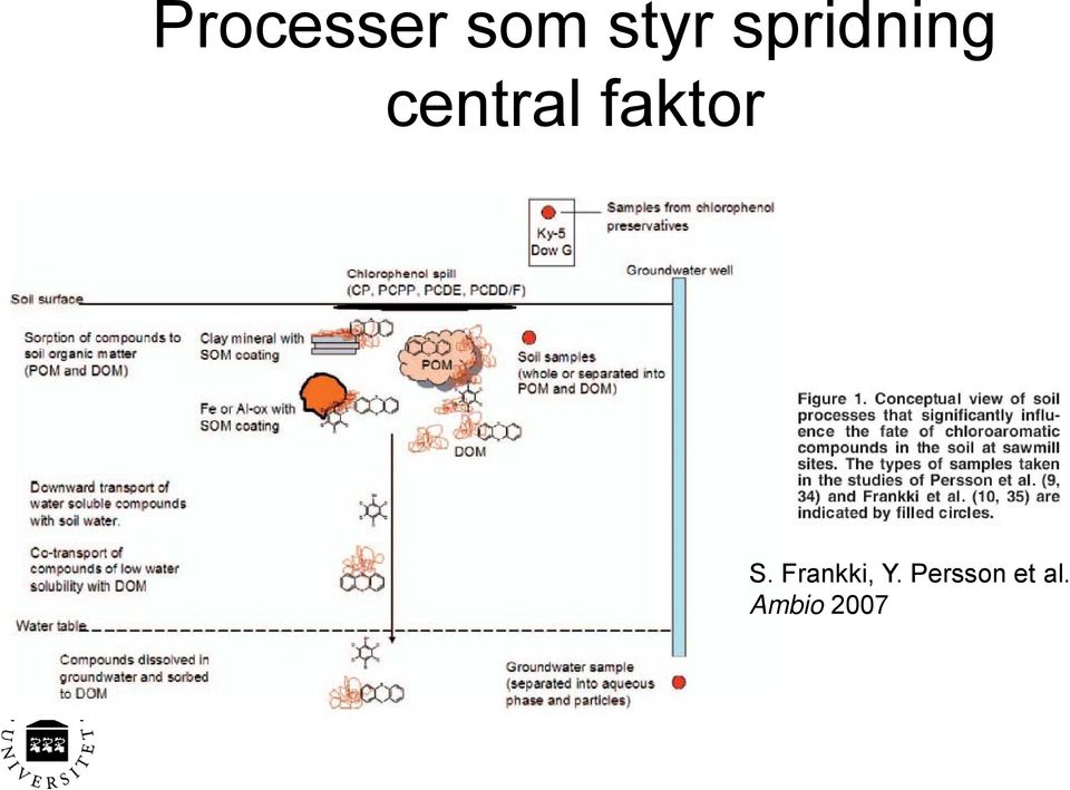 faktor S. Frankki, Y.