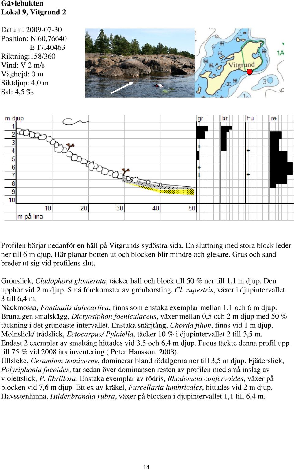 Grönslick, Cladophora glomerata, täcker häll och block till 50 % ner till 1,1 m djup. Den upphör vid 2 m djup. Små förekomster av grönborsting, Cl. rupestris, växer i djupintervallet 3 till 6,4 m.