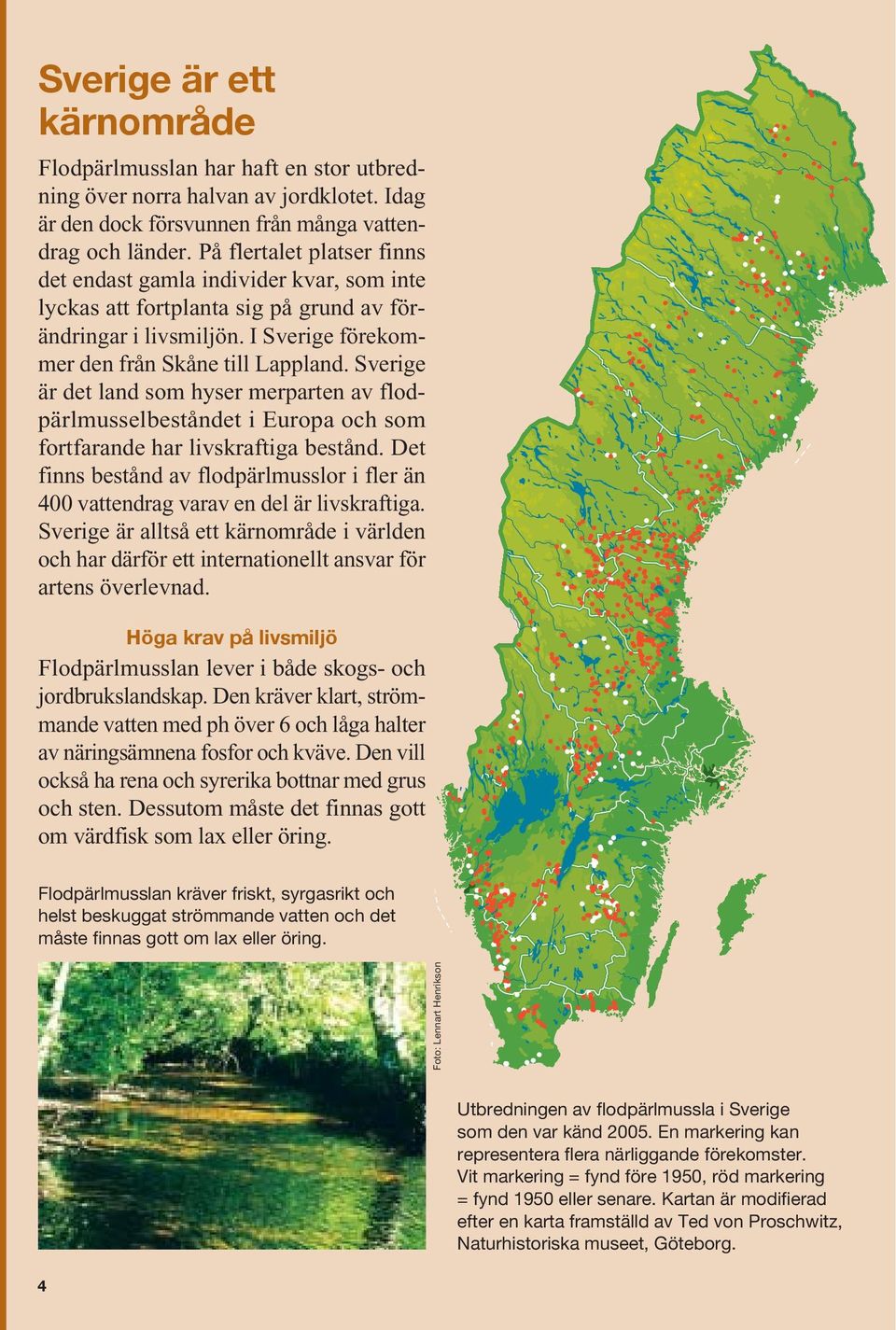 Sverige är det land som hyser merparten av flodpärlmusselbeståndet i Europa och som fortfarande har livskraftiga bestånd.