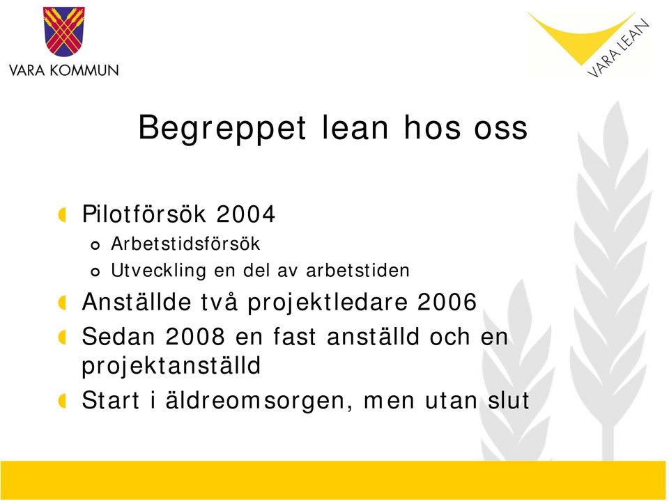 Anställde två projektledare 2006 Sedan 2008 en fast