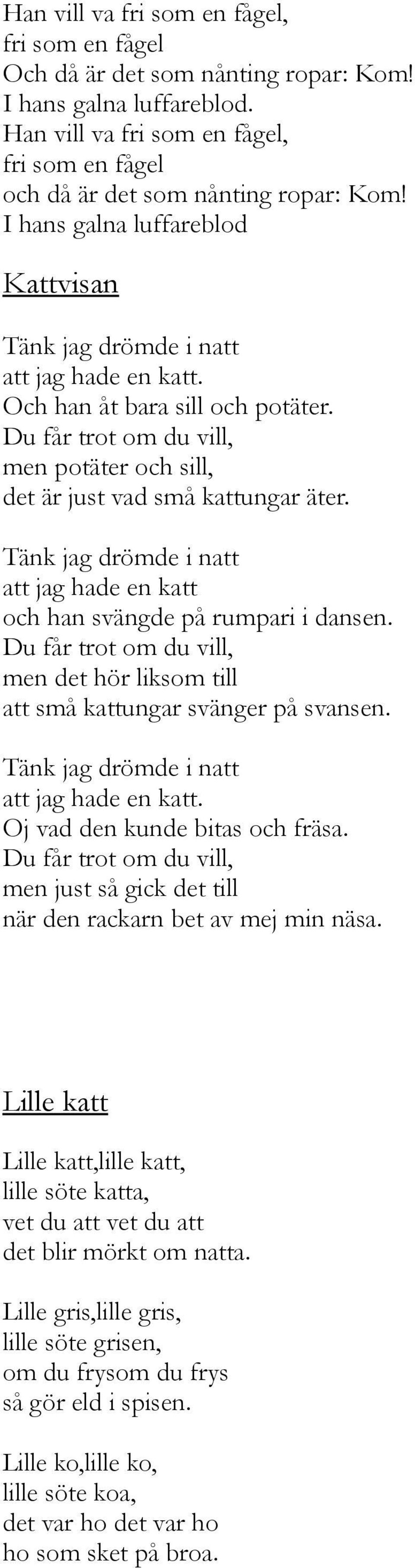 Tänk jag drömde i natt att jag hade en katt och han svängde på rumpari i dansen. Du får trot om du vill, men det hör liksom till att små kattungar svänger på svansen.