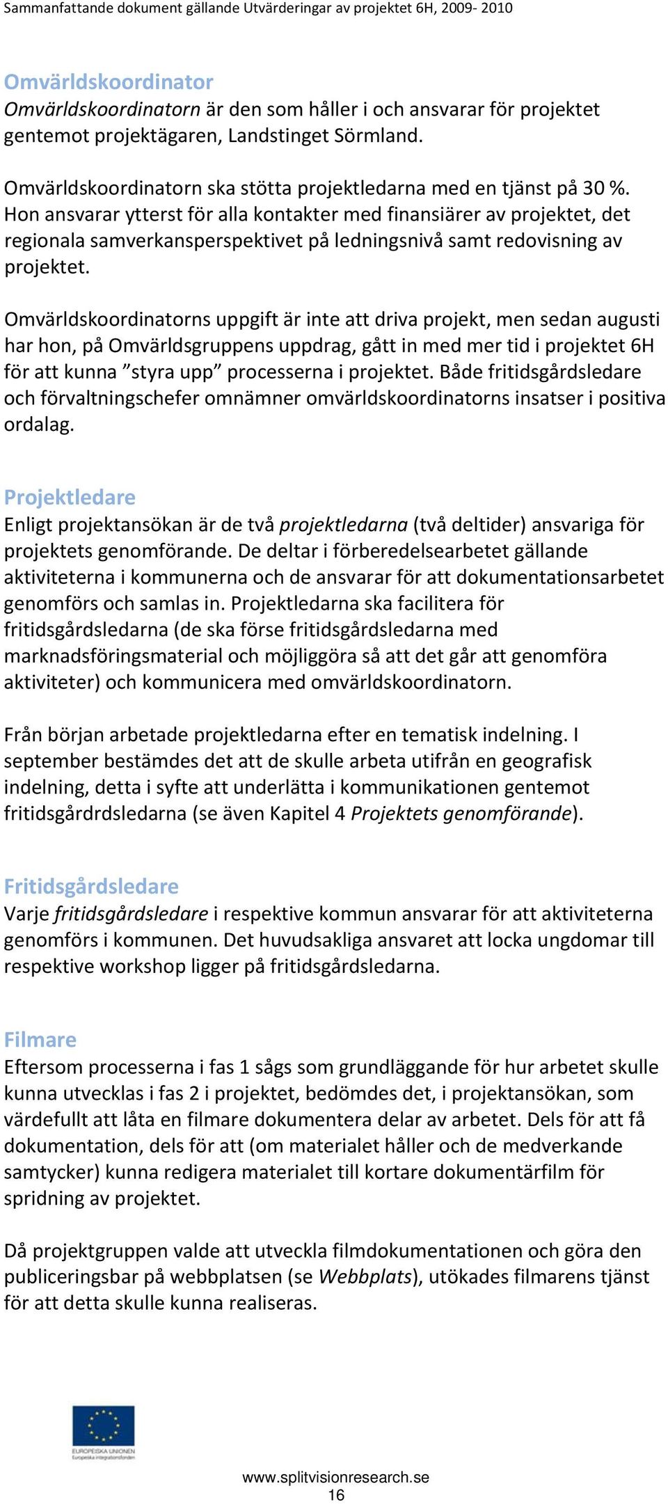 Hon ansvarar ytterst för alla kontakter med finansiärer av projektet, det regionala samverkansperspektivet på ledningsnivå samt redovisning av projektet.