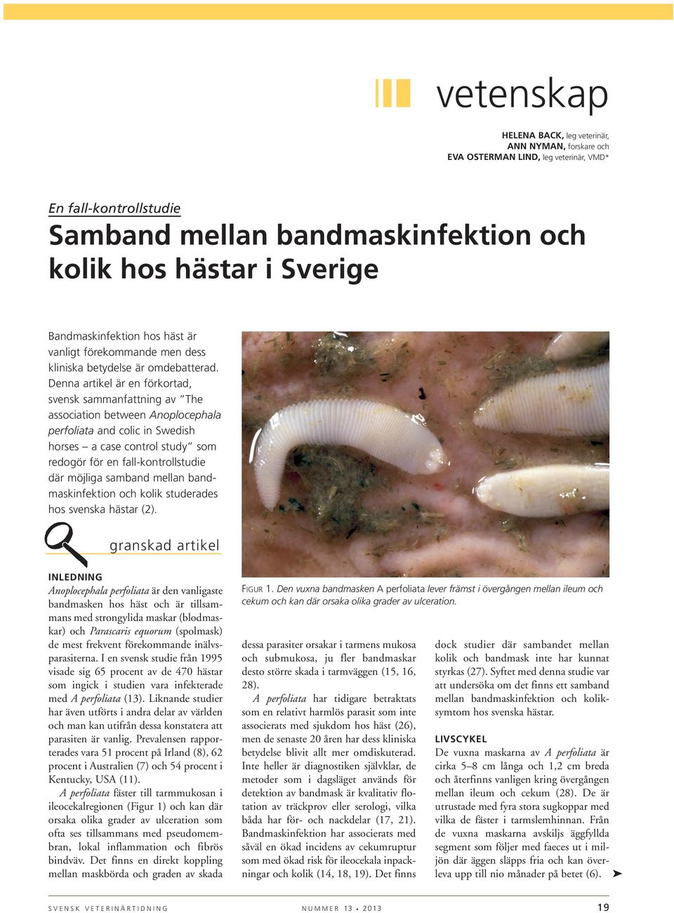 Denna artikel är en förkortad, svensk sammanfattning av The association between Anoplocephala perfoliata and colic in Swedish horses a case control study som redogör för en fall-kontrollstudie där