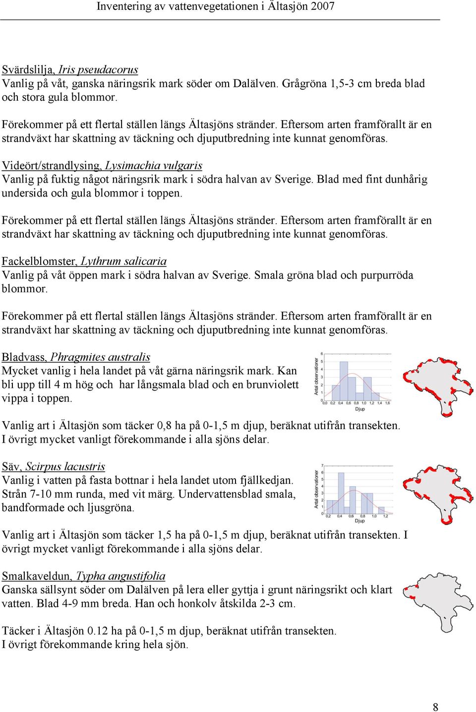 Videört/strandlysing, Lysimachia vulgaris Vanlig på fuktig något näringsrik mark i södra halvan av Sverige. Blad med fint dunhårig undersida och gula blommor i toppen.