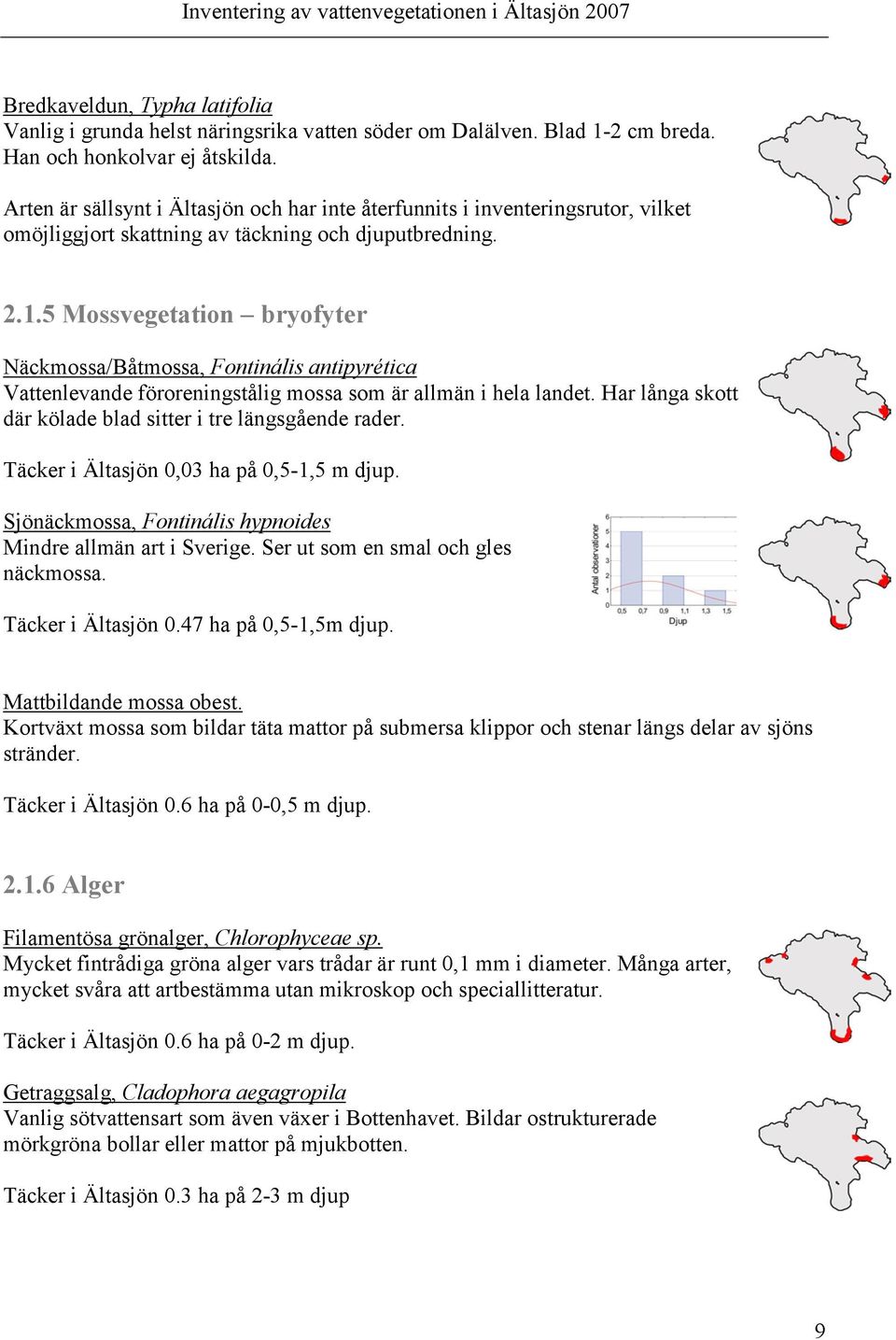 5 Mossvegetation bryofyter Näckmossa/Båtmossa, Fontinális antipyrética Vattenlevande föroreningstålig mossa som är allmän i hela landet. Har långa skott där kölade blad sitter i tre längsgående rader.