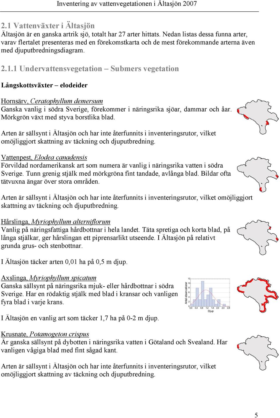 1 Undervattensvegetation Submers vegetation Långskottsväxter elodeider Hornsärv, Ceratophyllum demersum Ganska vanlig i södra Sverige, förekommer i näringsrika sjöar, dammar och åar.