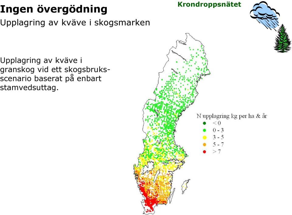 kväve i granskog vid ett