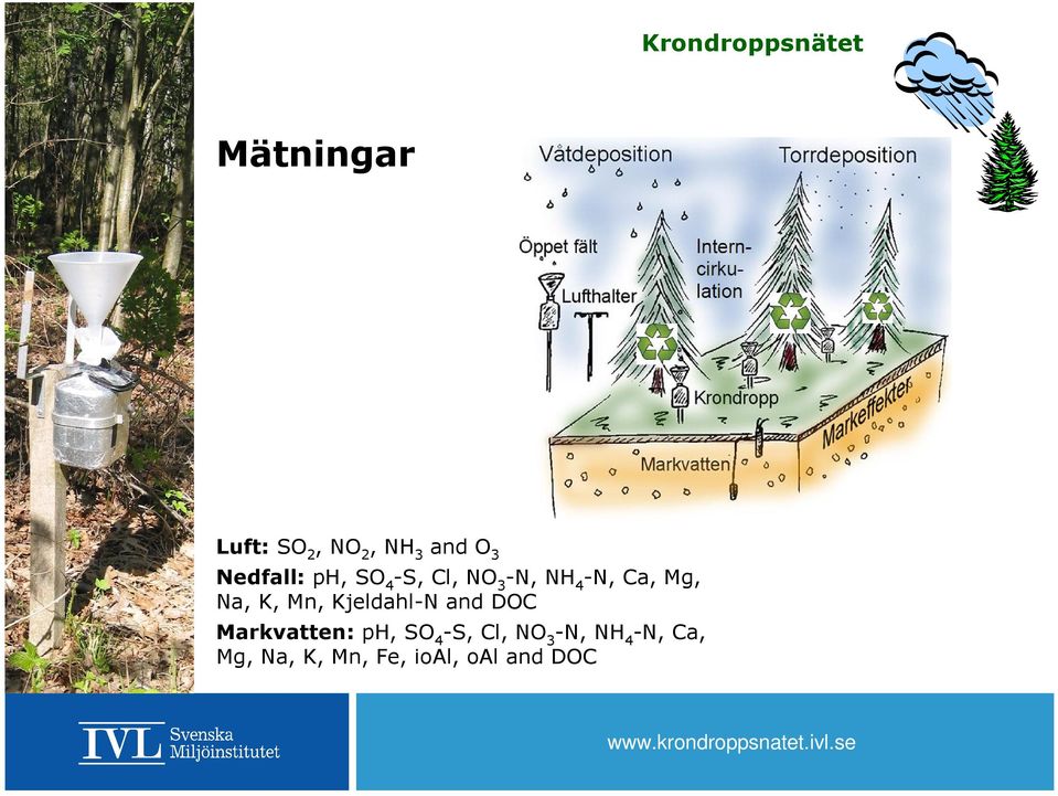 Kjeldahl-N and DOC Markvatten:  Fe, ioal, oal