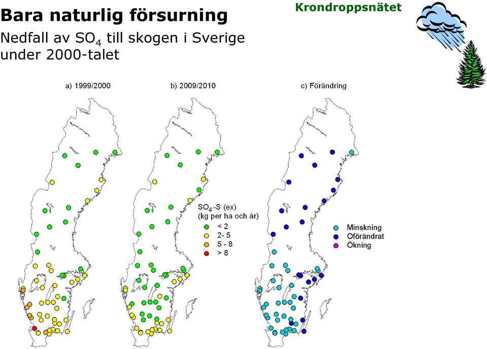 av SO 4 till skogen