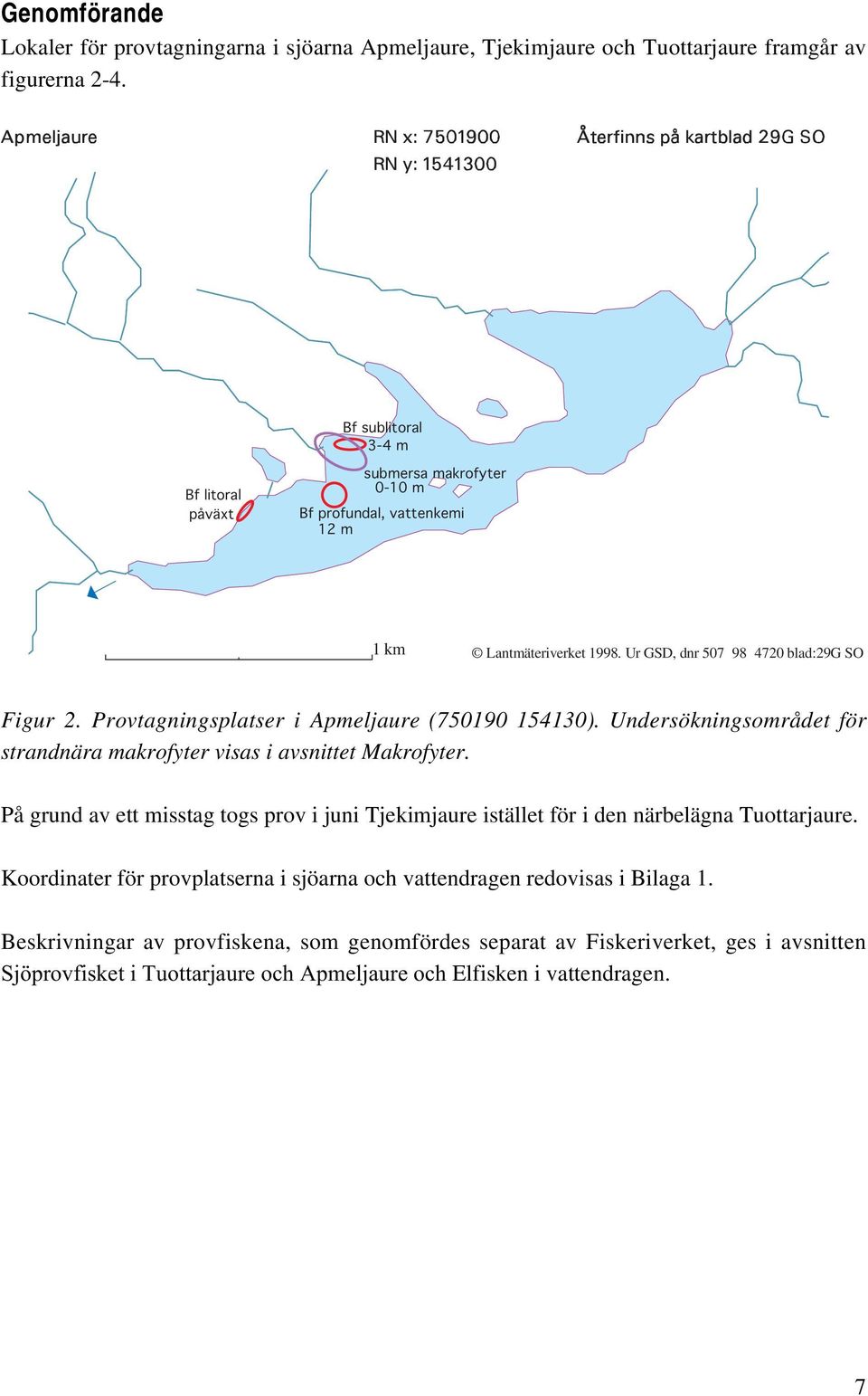 Provtagningsplatser i Apmeljaure (750190 154130). Undersökningsområdet för strandnära makrofyter visas i avsnittet Makrofyter.
