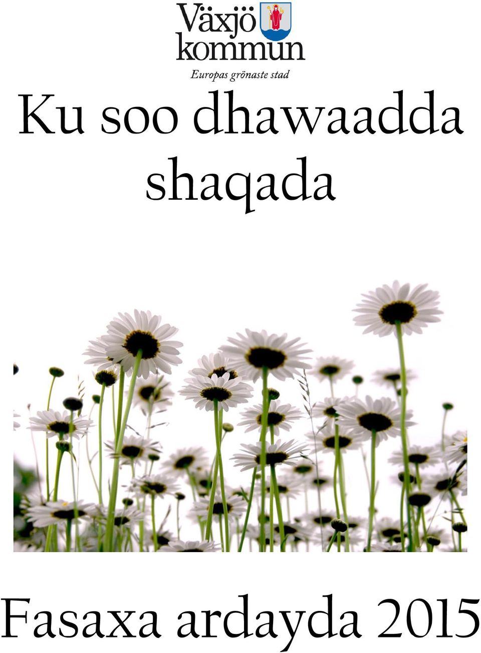shaqada