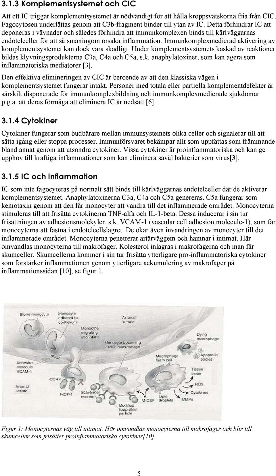 Immunkomplexmedierad aktivering av komplementsystemet kan dock vara skadligt. Under komplementsystemets kaskad av reaktioner bildas klyvningsprodukterna C3a, C4a och C5a, s.k. anaphylatoxiner, som kan agera som inflammatoriska mediatorer [3].