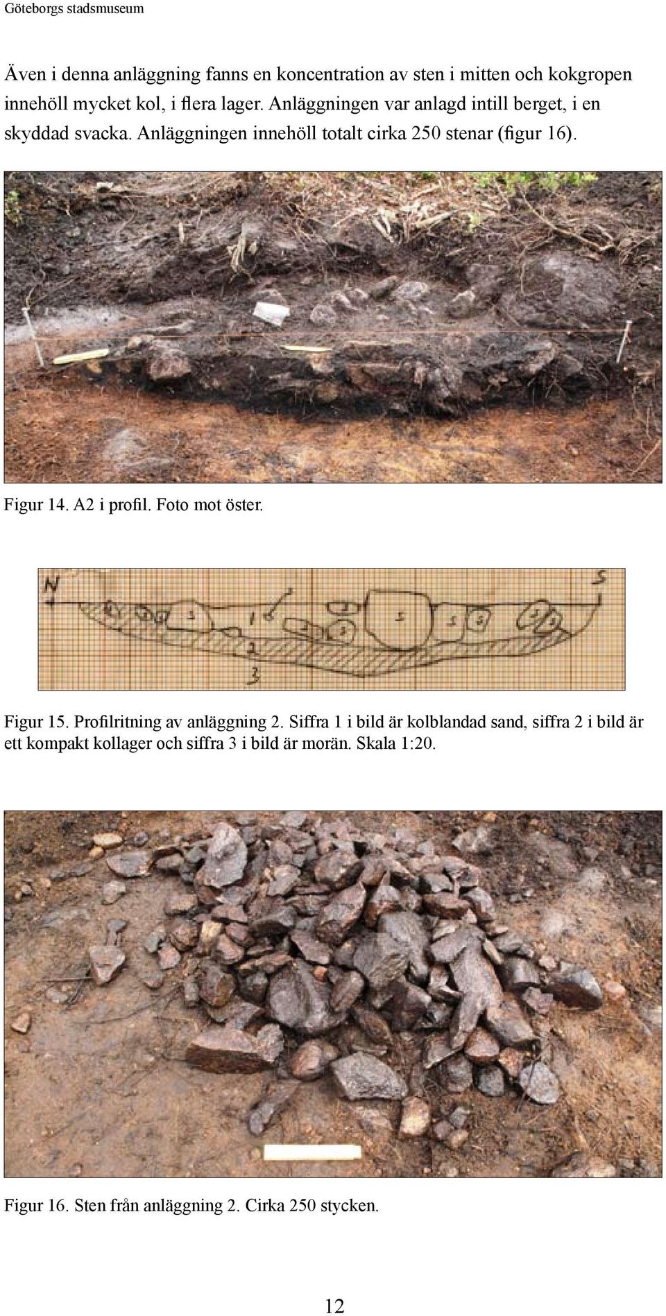 Anläggningen innehöll totalt cirka 250 stenar (figur 16). Figur 14. A2 i profil. Foto mot öster. Figur 15.