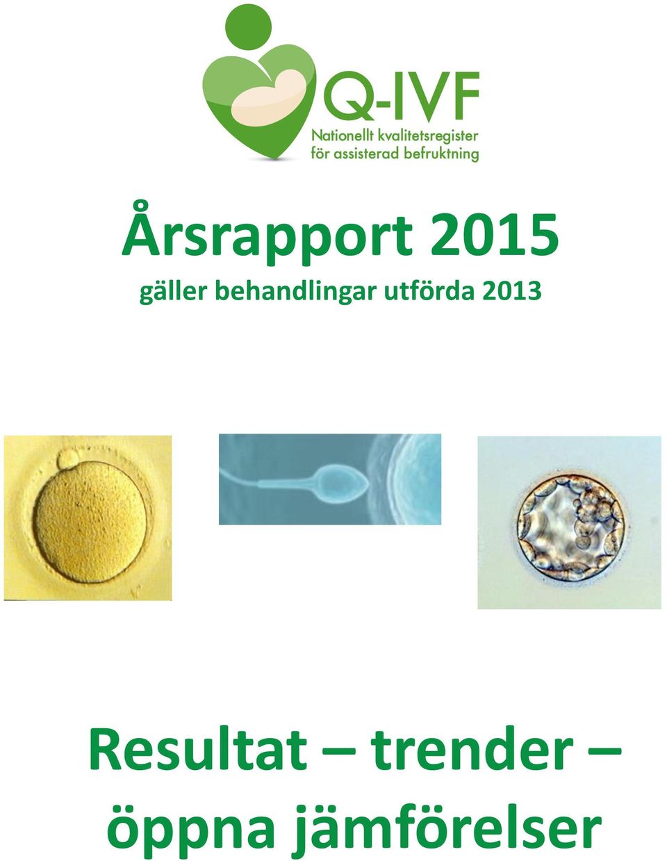 utförda 2013