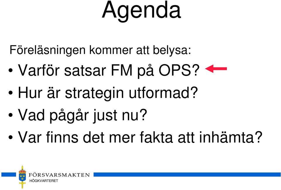 Hur är strategin utformad?