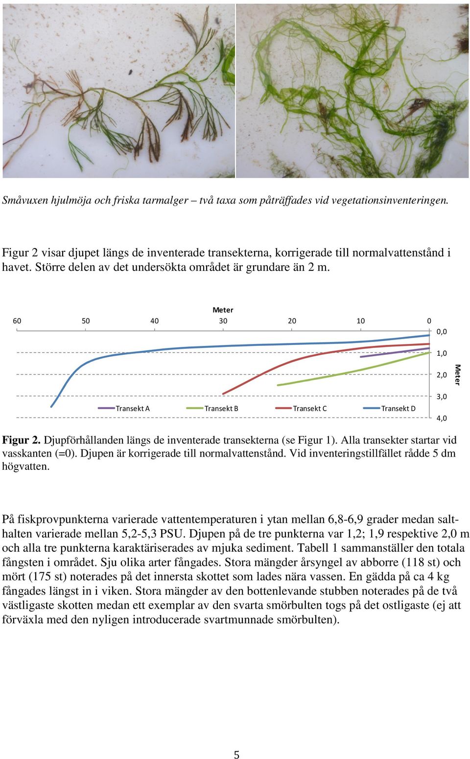 Djupförhållanden längs de inventerade transekterna (se Figur 1). Alla transekter startar vid vasskanten (=0). Djupen är korrigerade till normalvattenstånd.