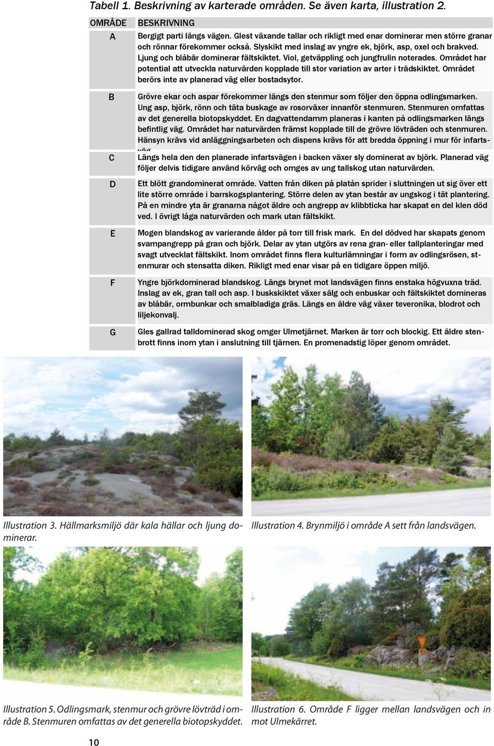 Ljung och blåbär dominerar fältskiktet. Viol, getväppling och jungfrulin noterades. Området har potential att utveckla naturvärden kopplade till stor variation av arter i trädskiktet.