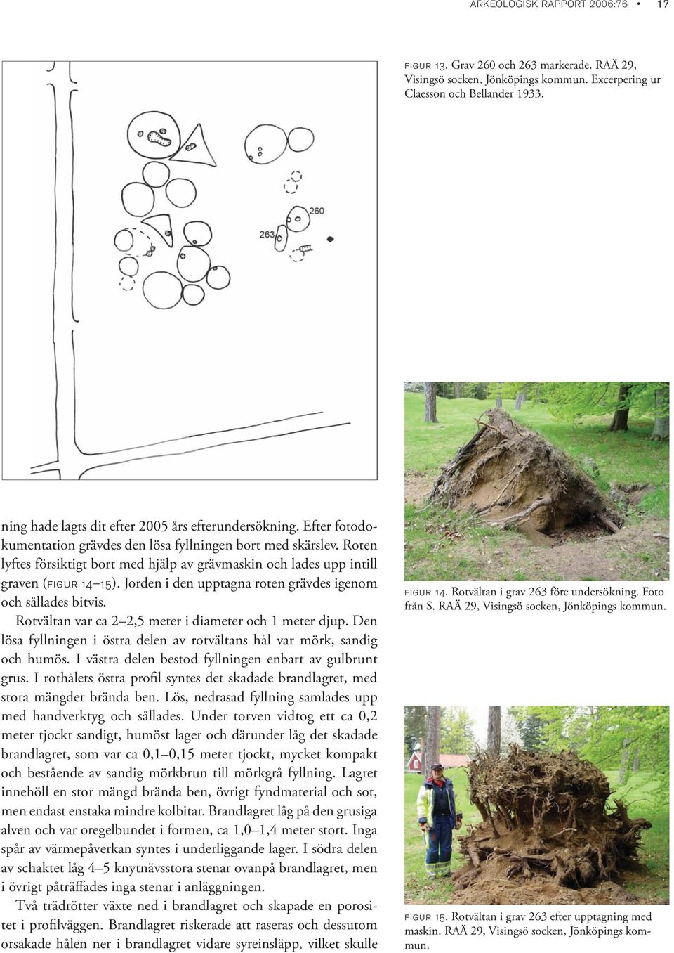 Roten lyftes försiktigt bort med hjälp av grävmaskin och lades upp intill graven (figur 14 15). Jorden i den upptagna roten grävdes igenom och sållades bitvis.