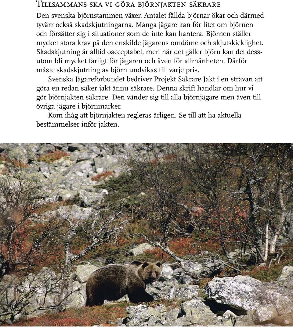 Skadskjutning är alltid oacceptabel, men när det gäller björn kan det dess - utom bli mycket farligt för jägaren och även för allmänheten. Därför måste skadskjutning av björn undvikas till varje pris.