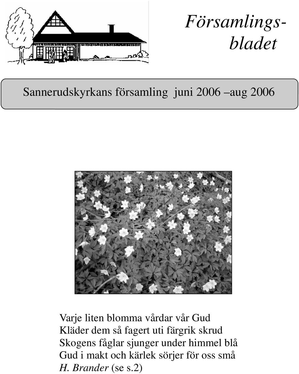 uti färgrik skrud Skogens fåglar sjunger under himmel blå