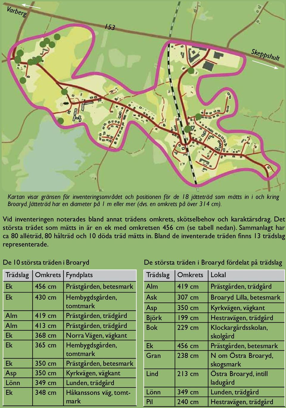 Sammanlagt har ca 80 alléträd, 80 hålträd och 10 döda träd mätts in. Bland de inventerade träden finns 13 trädslag representerade.