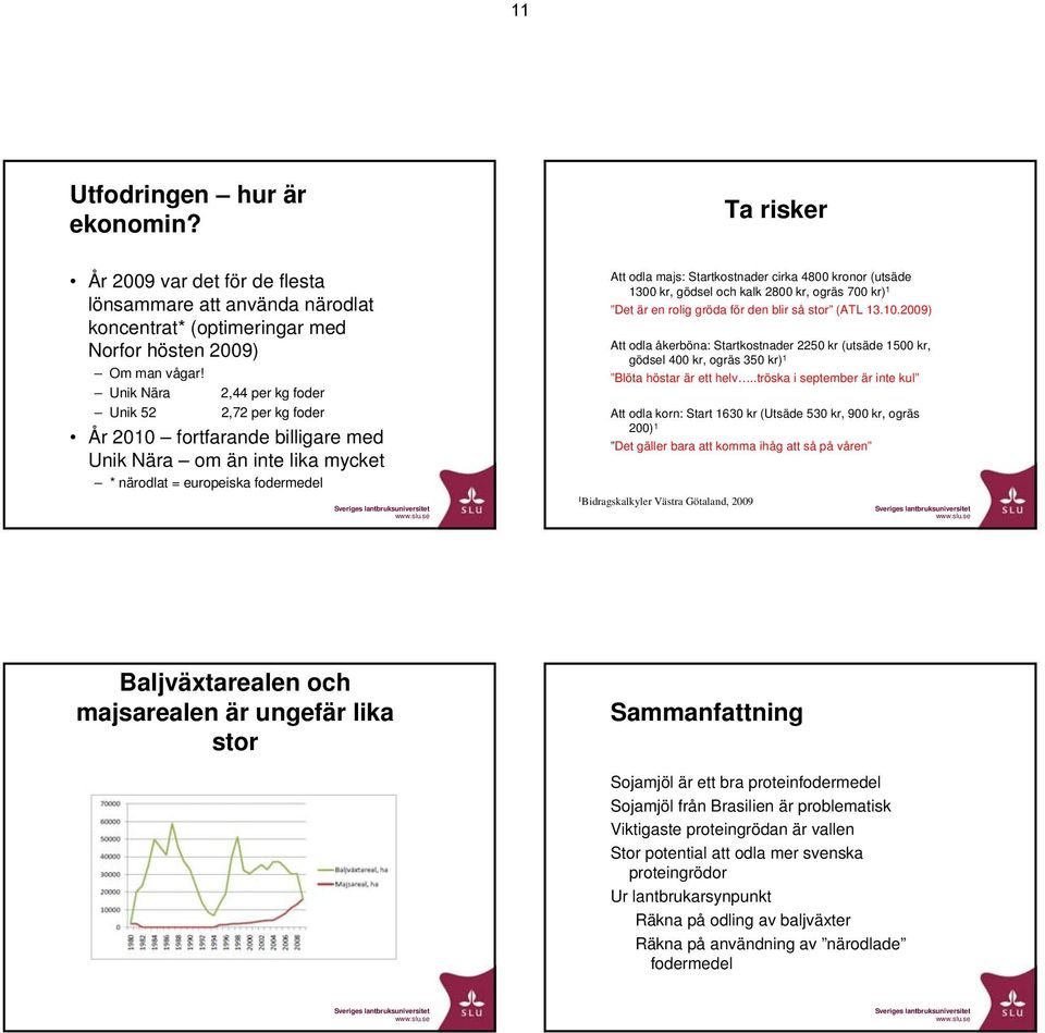 se Att odla majs: Startkostnader cirka 4800 kronor (utsäde 1300 kr, gödsel och kalk 2800 kr, ogräs 700 kr) 1 Det är en rolig gröda för den blir så stor (ATL 13.10.