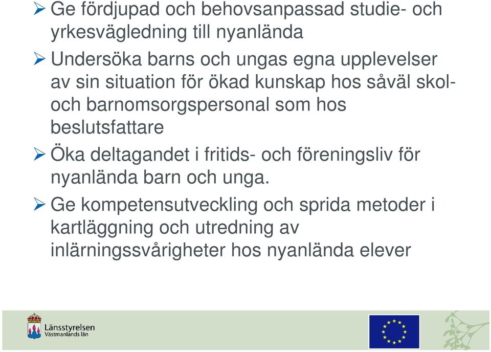 beslutsfattare Öka deltagandet i fritids- och föreningsliv för nyanlända barn och unga.