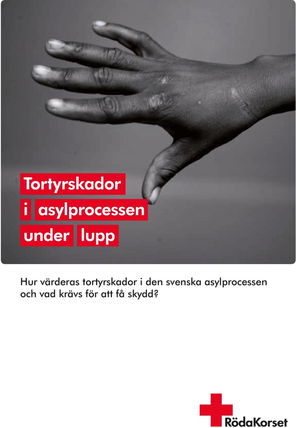 svenska asylprocessen