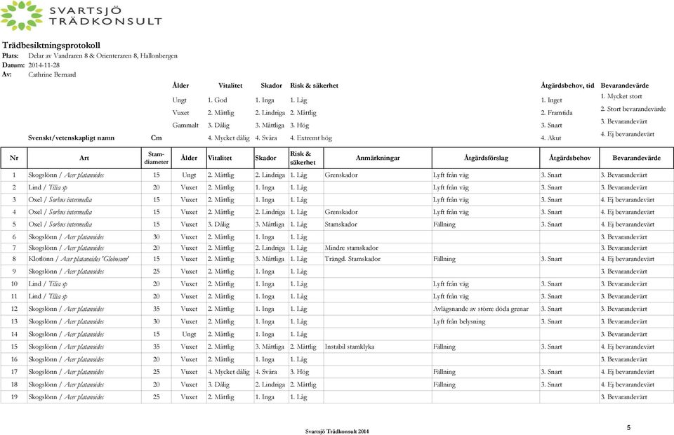 Svåra 4. Extremt hög 4. Akut Art Stamdiameter Ålder Vitalitet Skador Risk & säkerhet Anmärkningar Åtgärdsförslag Åtgärdsbehov Bevarandevärde 1 Skogslönn / Acer platanoides 15 Ungt 2. Måttlig 2.