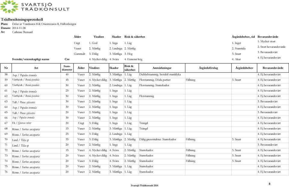 Svåra 4. Extremt hög 4. Akut Art Stamdiameter Ålder Vitalitet Skador Risk & säkerhet Anmärkningar Åtgärdsförslag Åtgärdsbehov Bevarandevärde 58 Asp / Populus tremula 40 Vuxet 2. Måttlig 3. Måttliga 1.