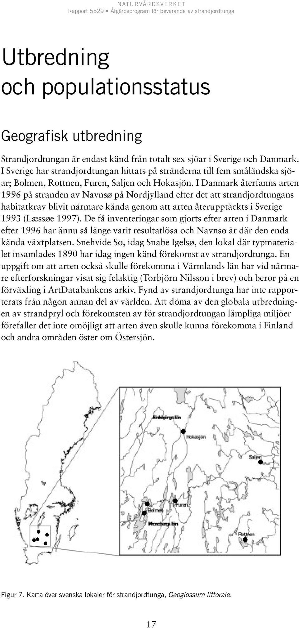 I Danmark återfanns arten 1996 på stranden av Navnsø på Nordjylland efter det att strandjordtungans habitatkrav blivit närmare kända genom att arten återupptäckts i Sverige 1993 (Læssøe 1997).